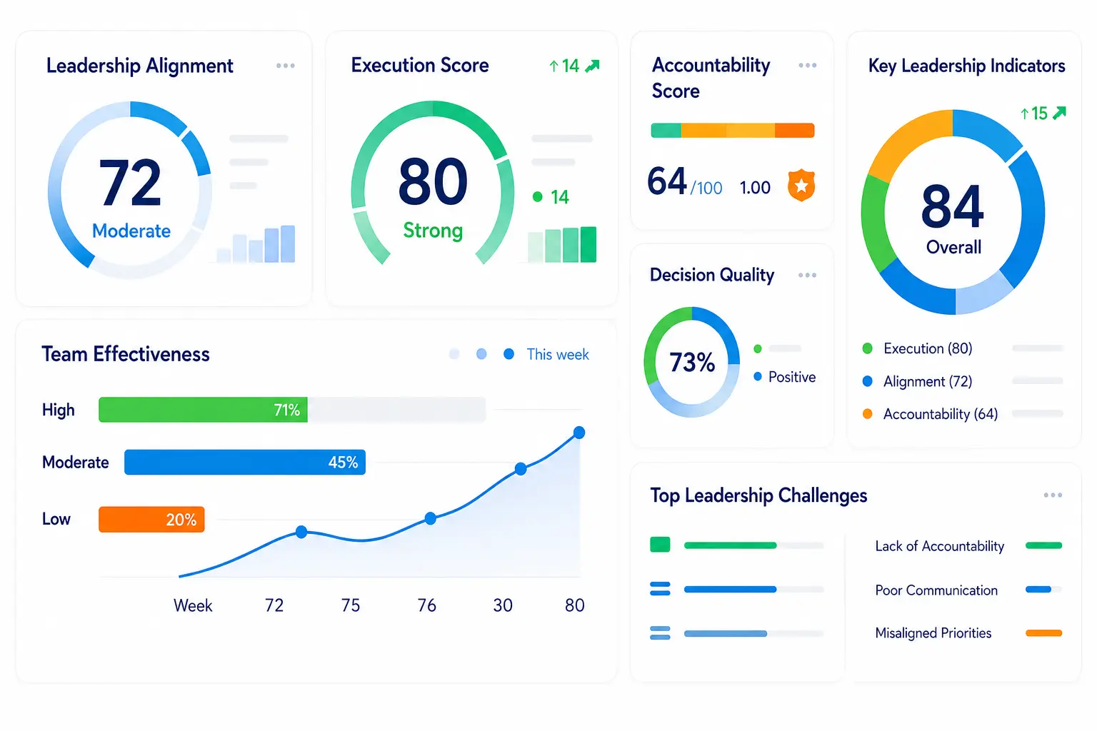 Leadership & Execution Excellence